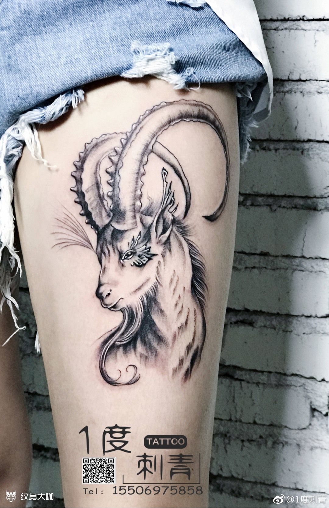 羊_纹身图案手稿图片_陈滢的纹身作品集