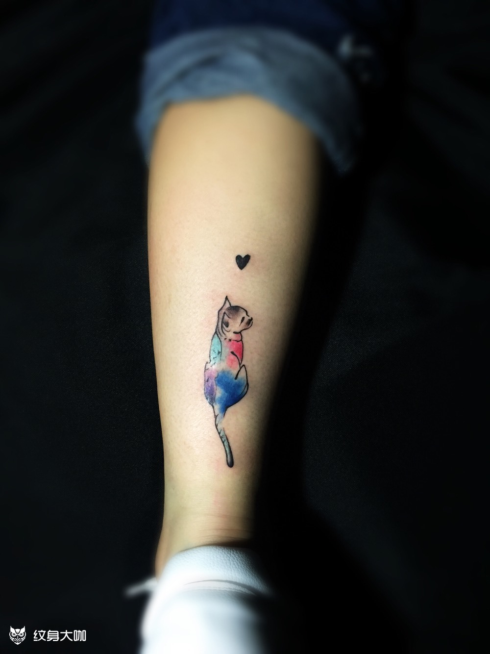 小猫_纹身图案手稿图片_小伟的纹身作品集