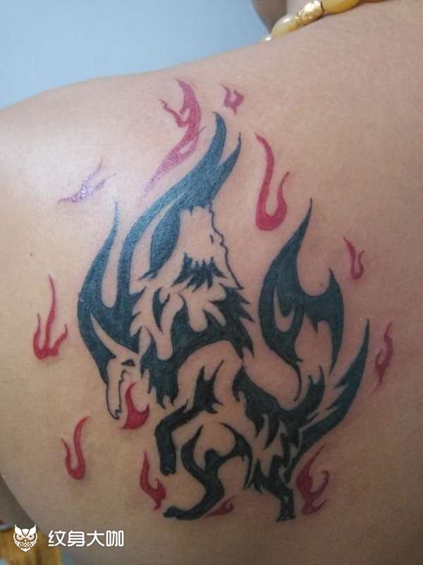 狼图腾_纹身图案手稿图片_墨针缘的纹身作品集