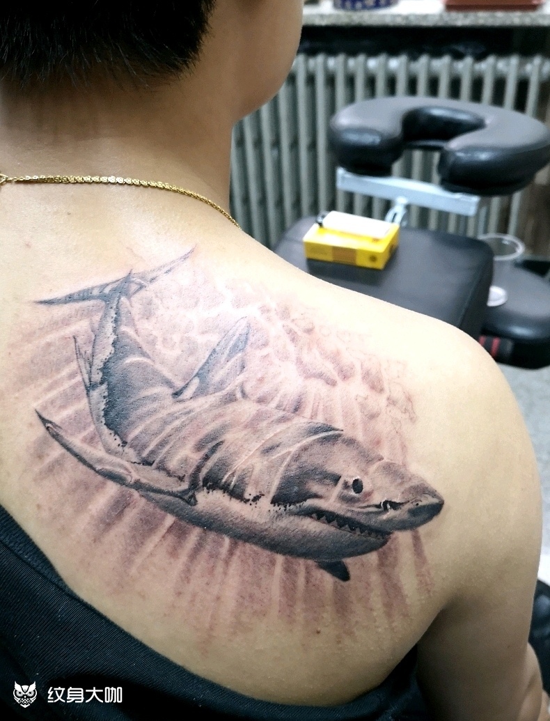 写实鲨鱼_纹身图案手稿图片_慧君的纹身作品集