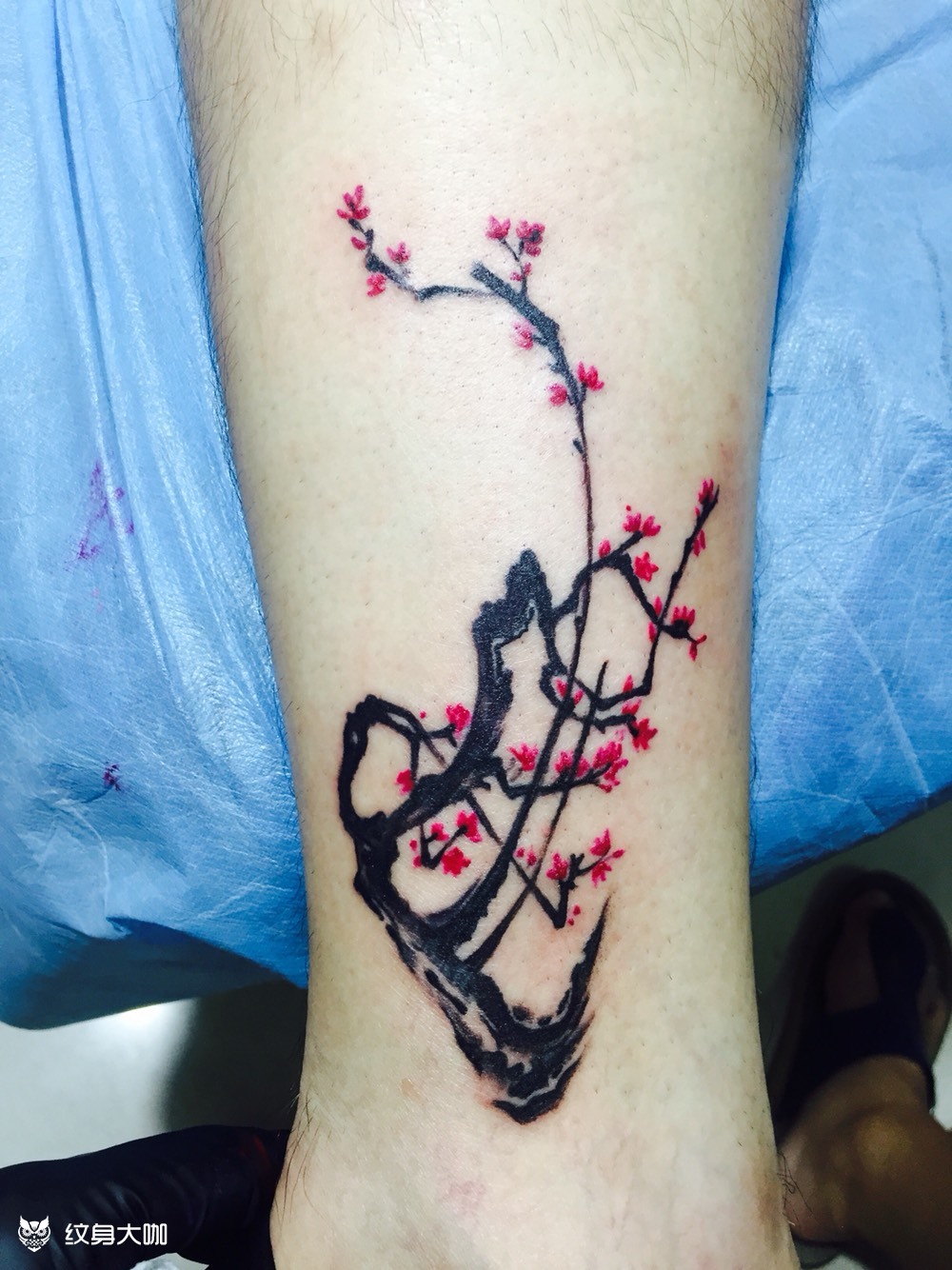 梅花香自苦寒来_纹身图案手稿图片_龚智颖的纹身作品集