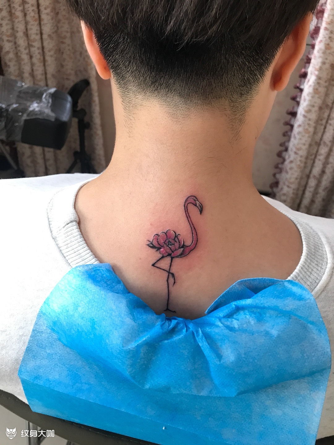 火烈鸟盖疤_纹身图案手稿图片_靳秋生的纹身作品集