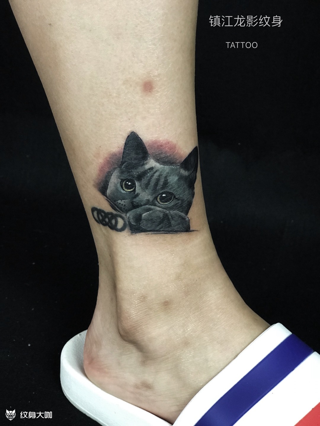 蓝猫妈咪_纹身图案手稿图片_武发明的纹身作品集