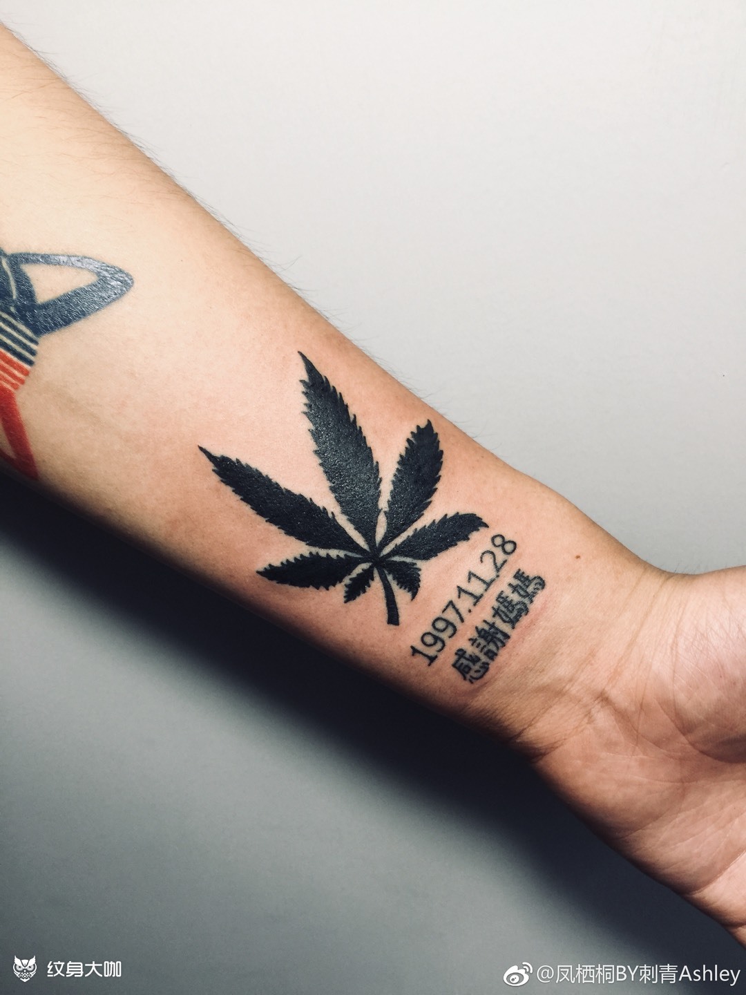 麻叶_纹身图案手稿图片_😘好多猫儿🐱的纹身作品集