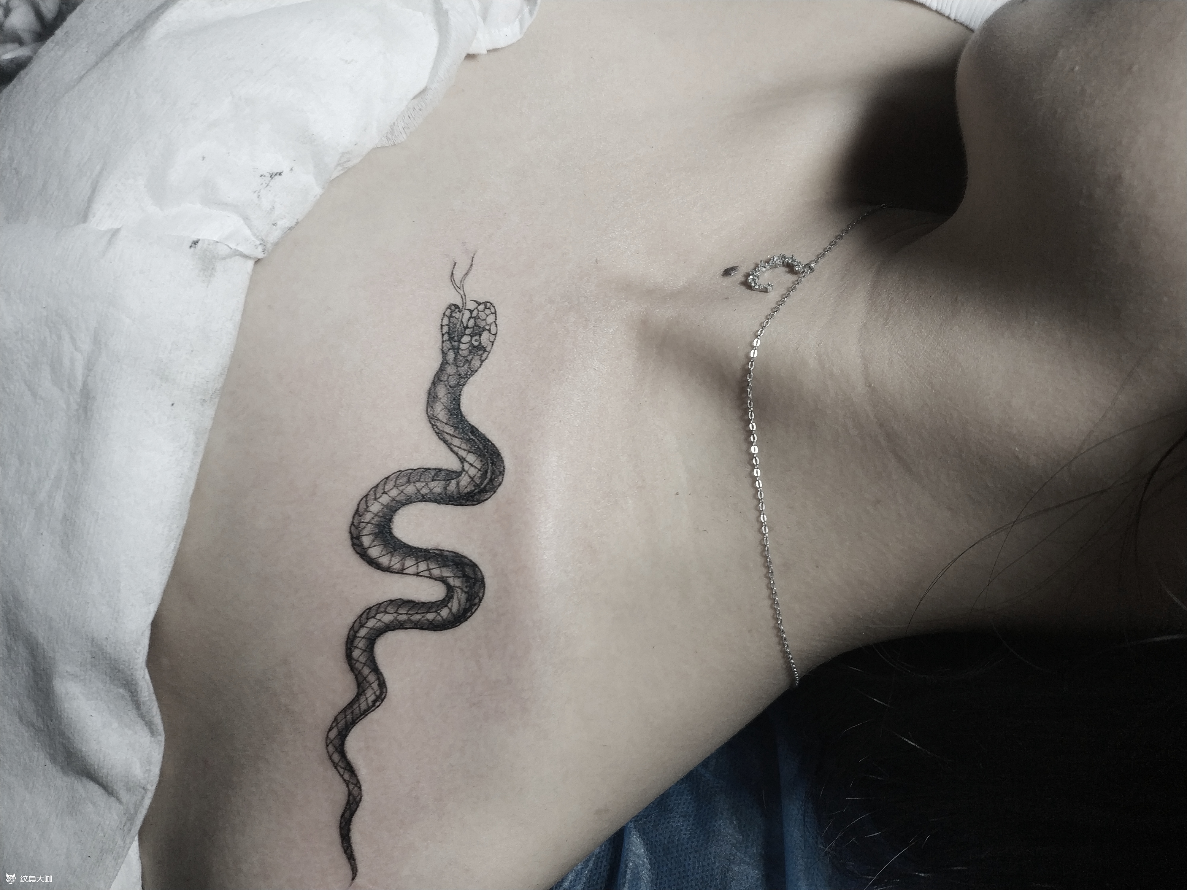 蛇_纹身图案手稿图片_杜先生的纹身作品集