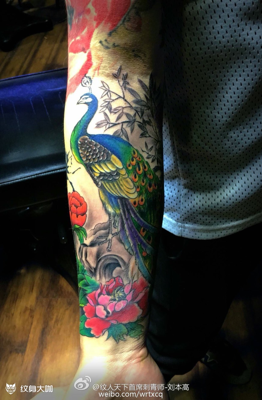 孔雀包小臂_纹身图案手稿图片_刘本高的纹身作品集