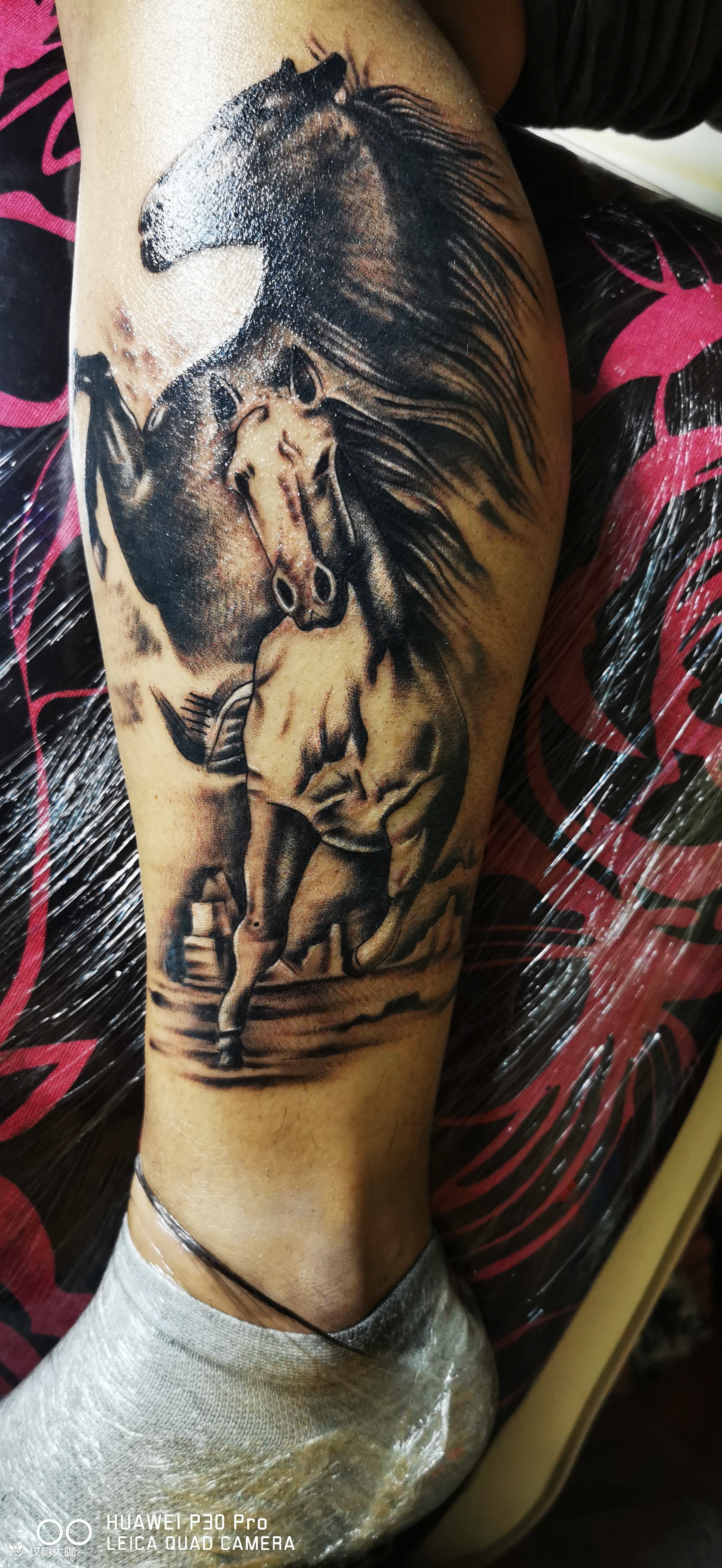 马_纹身图案手稿图片_尚勇的纹身作品集