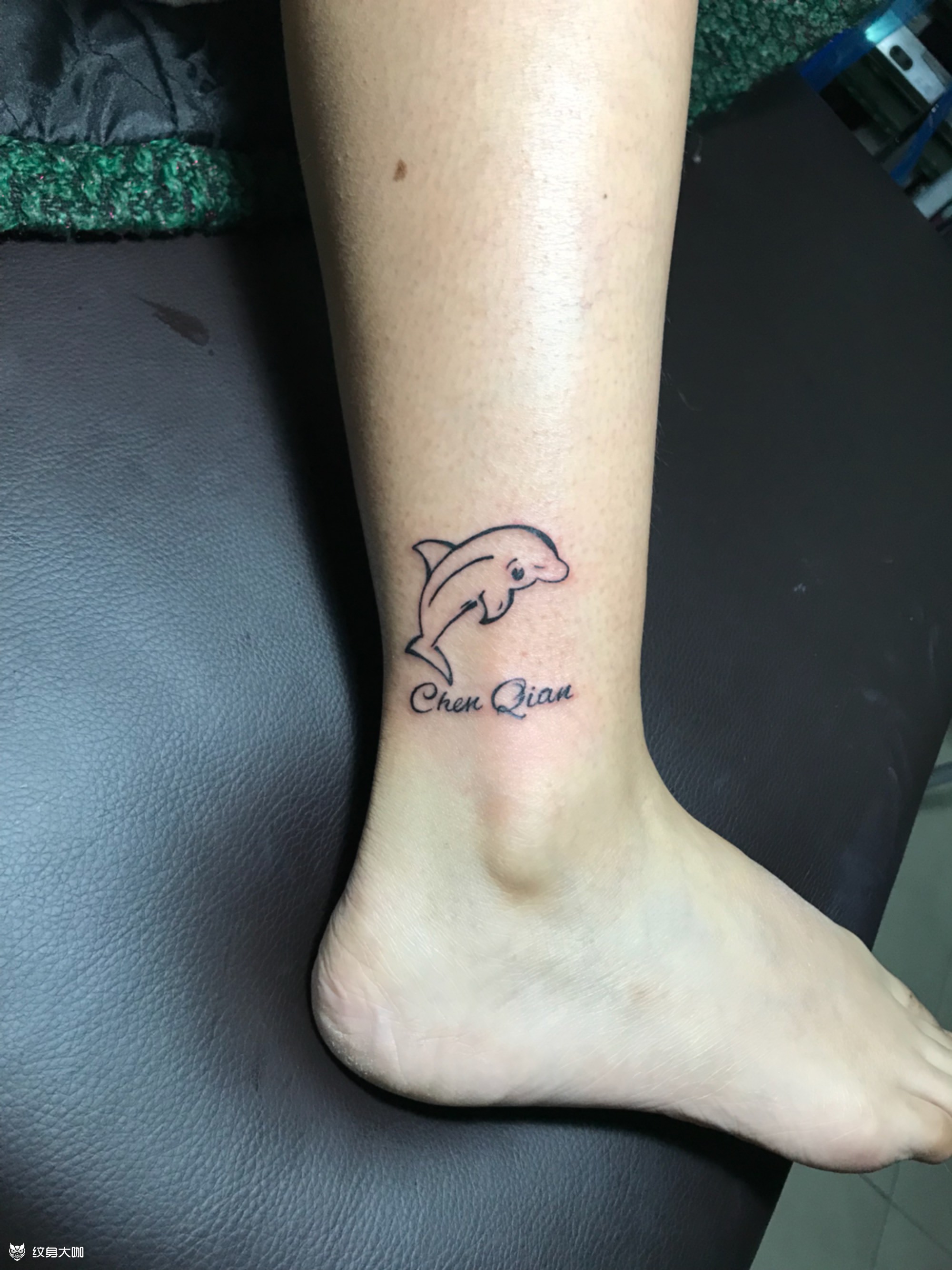 海豚_纹身图案手稿图片_坐者的纹身作品集