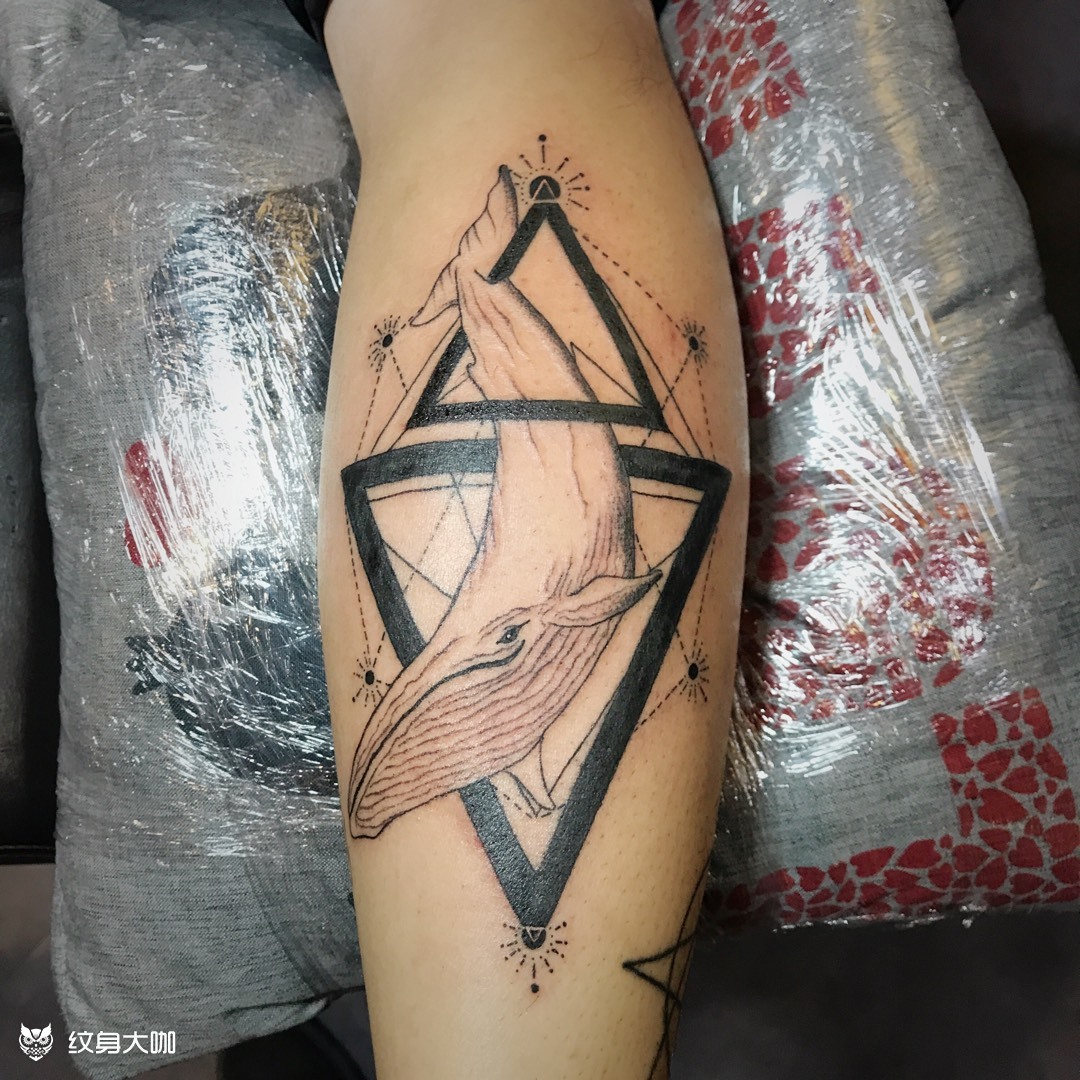 几何鲸鱼_纹身图案手稿图片_kin的纹身作品集