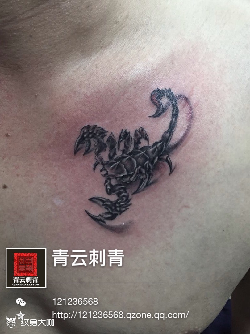 蝎子_纹身图案手稿图片_青云的纹身作品集