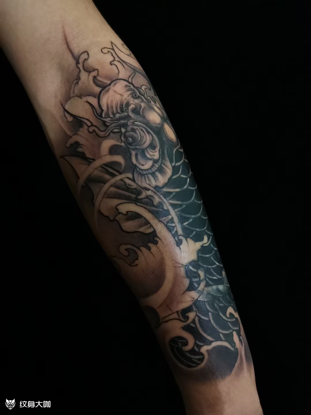传统锦鲤97_纹身图案手稿图片_鲲97的纹身作品集