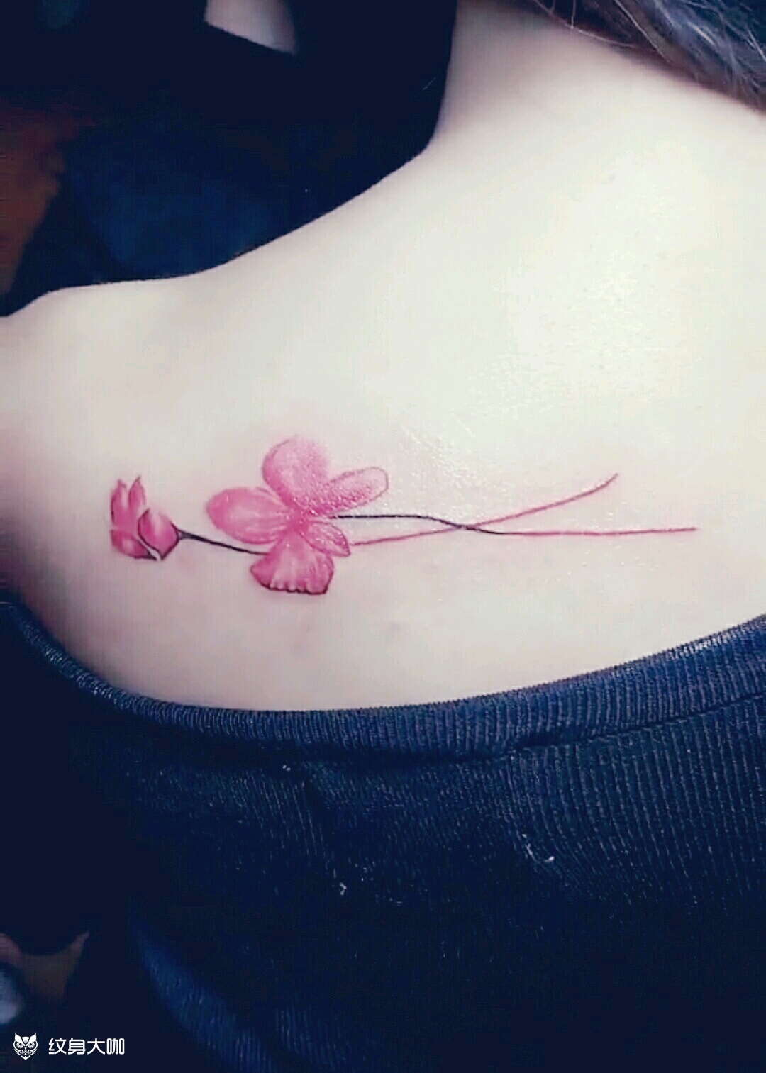 格桑花_纹身图案手稿图片_vivah.的纹身作品集