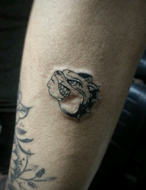 恶霸犬_纹身图案手稿图片_toto的纹身作品集