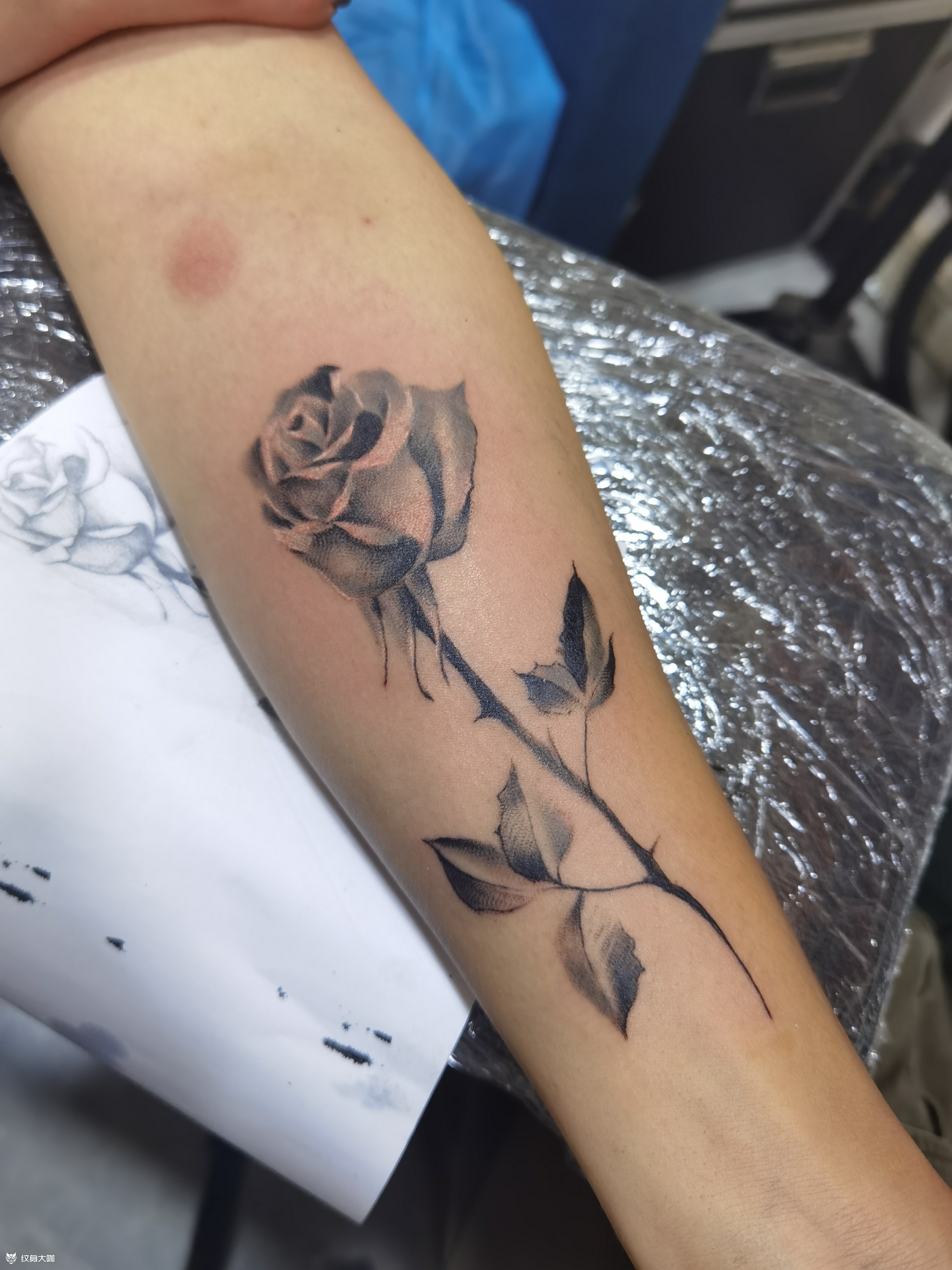 玫瑰_纹身图案手稿图片_天棒的纹身作品集