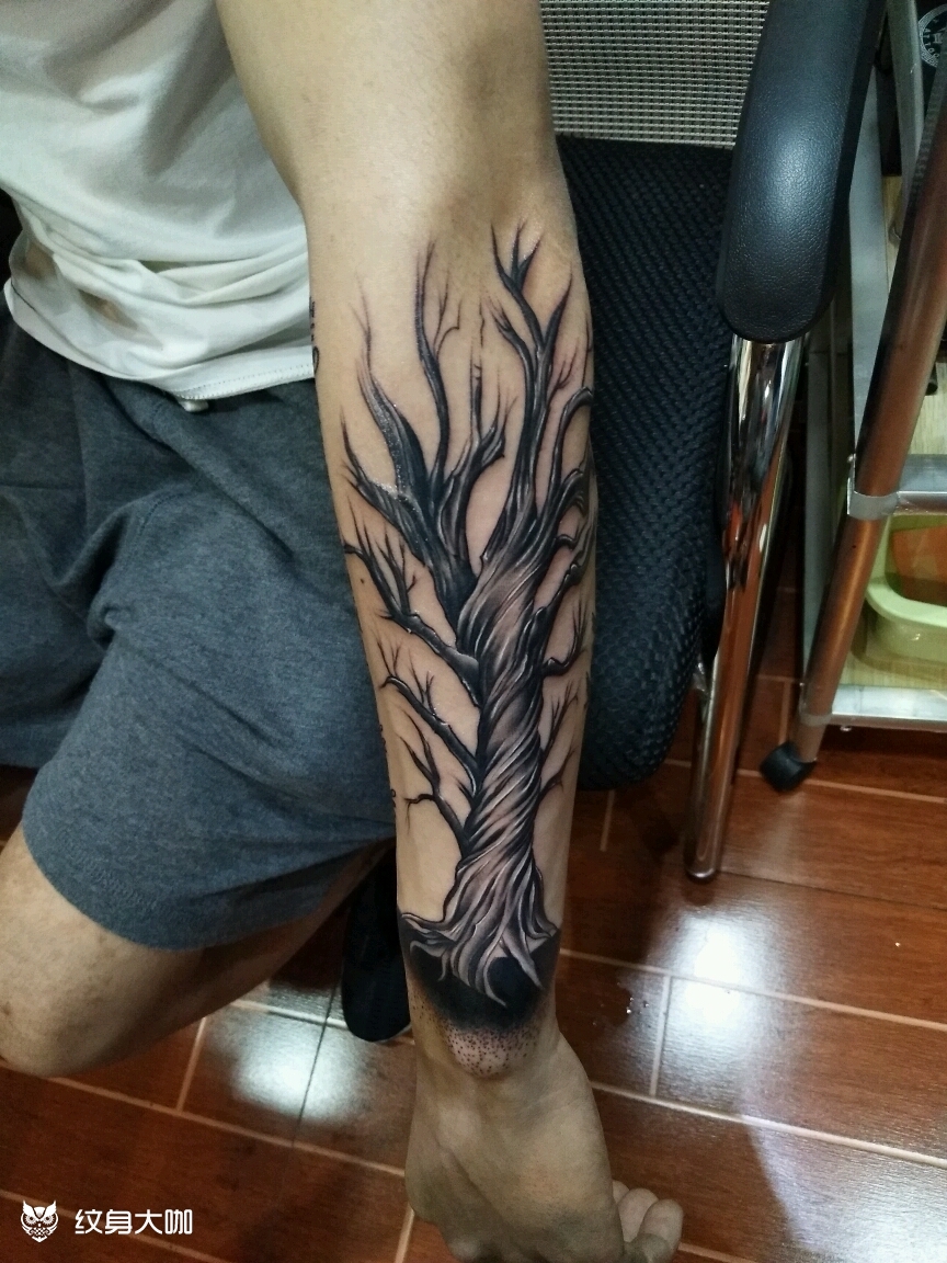 枯树_纹身图案手稿图片_首席:莫森的纹身作品集