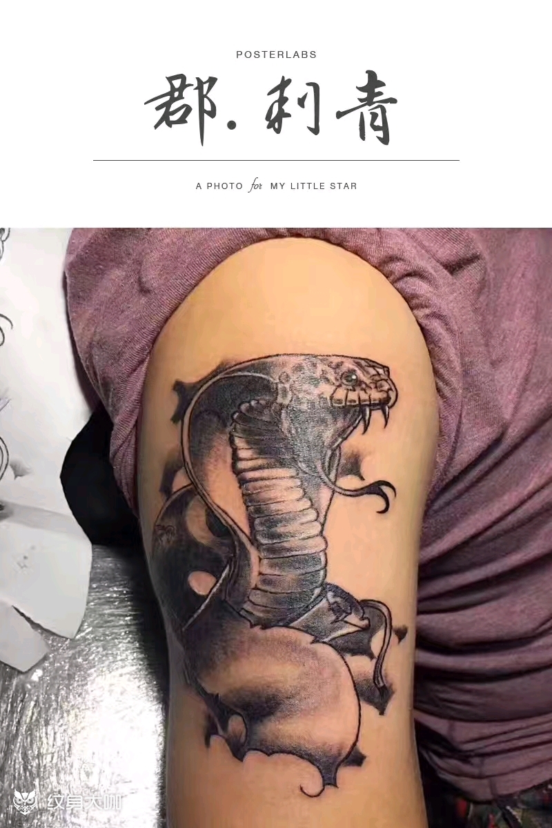 日式响尾蛇_纹身图案手稿图片_刘星的纹身作品集