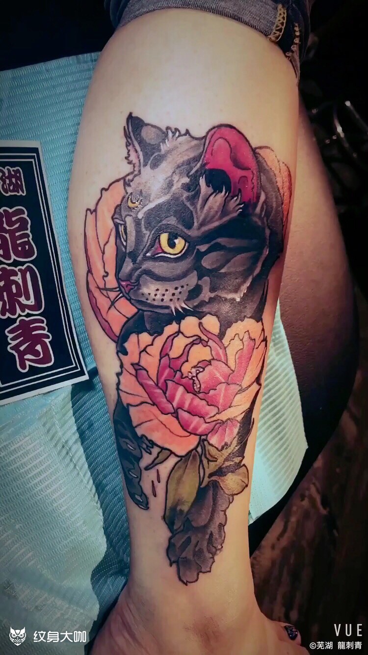 猫咪盖图_纹身图案手稿图片_阿夜的纹身作品集