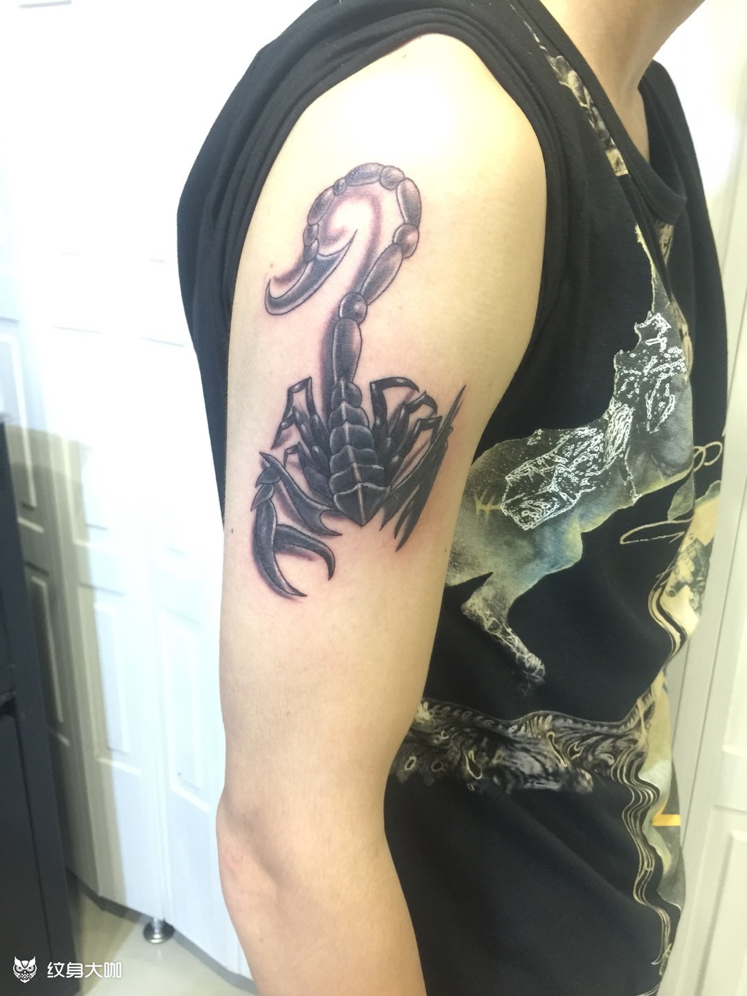 蝎子纹身胳膊图片