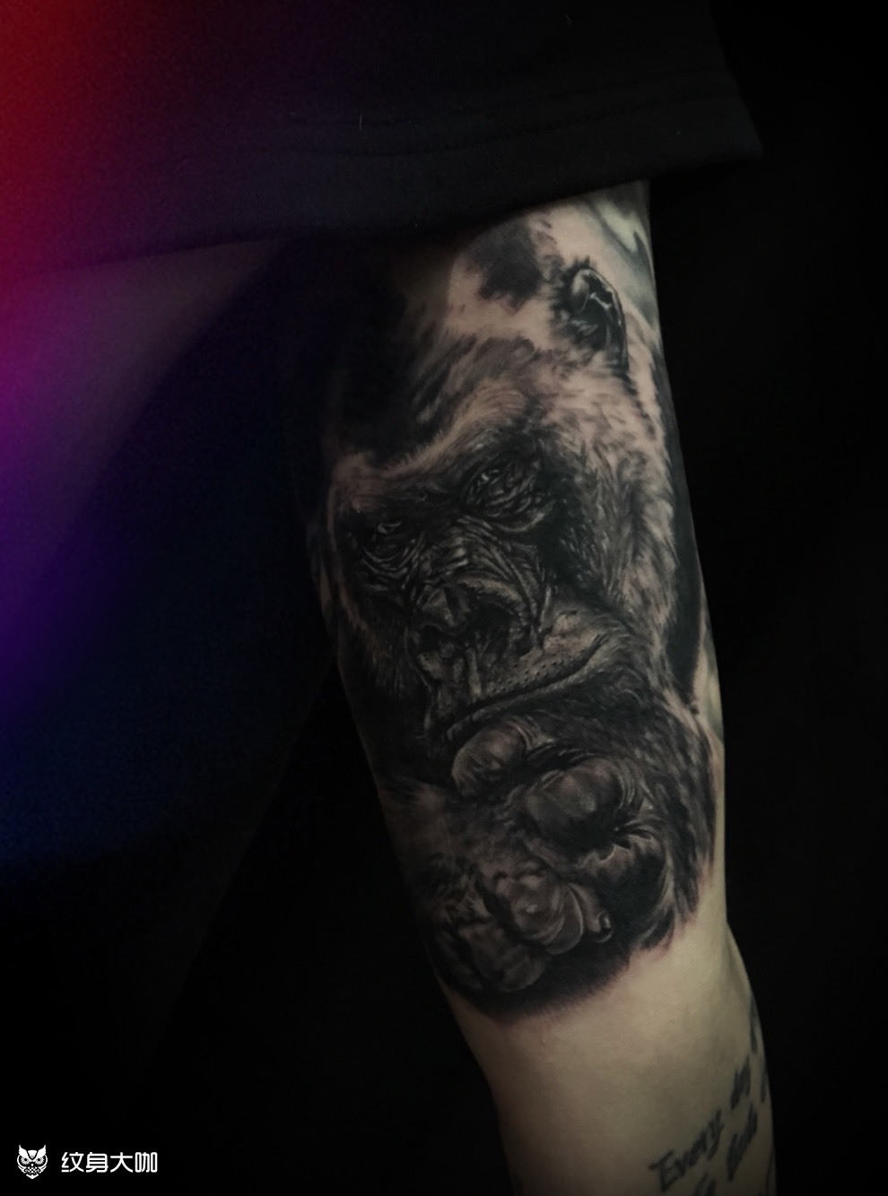 大猩猩_纹身图案手稿图片_燃——的纹身作品集