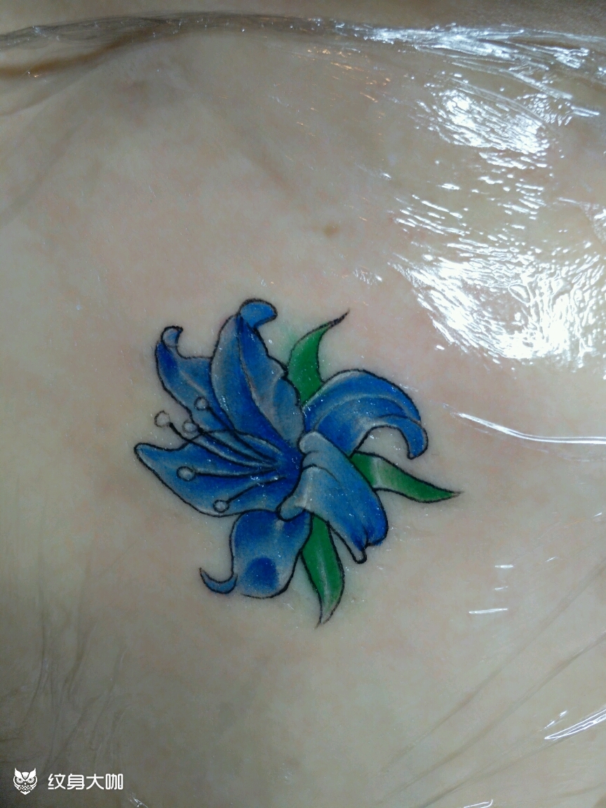 兰花_纹身图案手稿图片_高震的纹身作品集