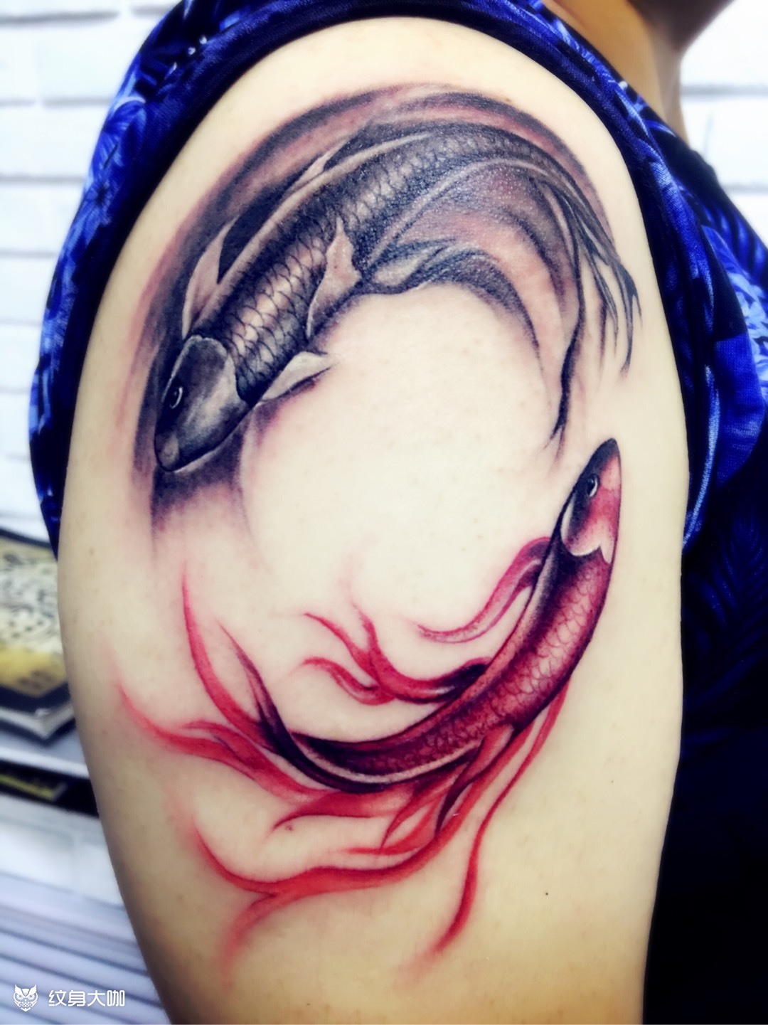 阴阳八卦鲤鱼_纹身图案手稿图片_笑笑吖的纹身作品集