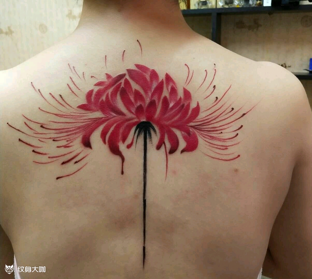 彼岸花_纹身图案手稿图片_唐二洋的纹身作品集