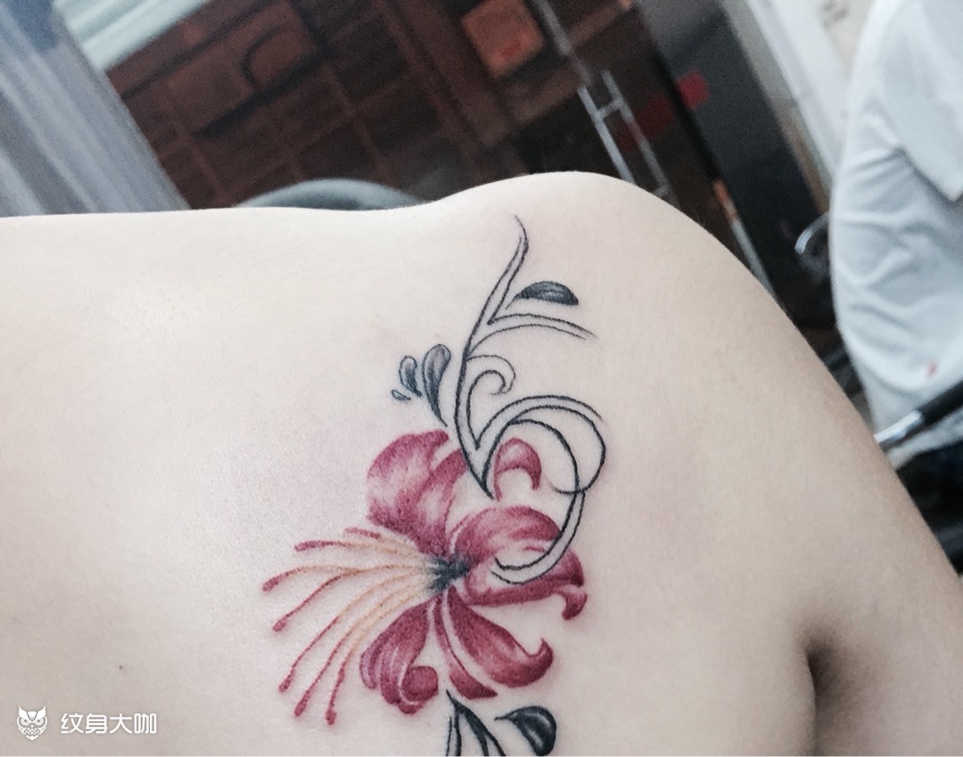 藤蔓花_纹身图案手稿图片_扎男的纹身作品集