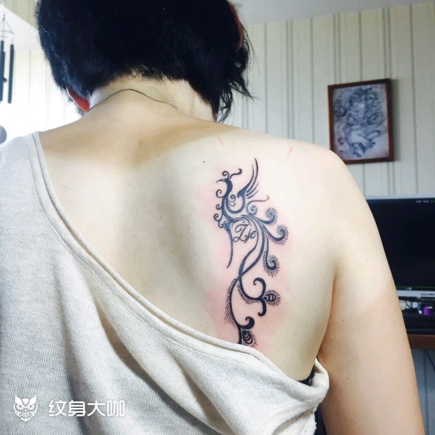 小凤凰_纹身图案手稿图片_李洪涛的纹身作品集