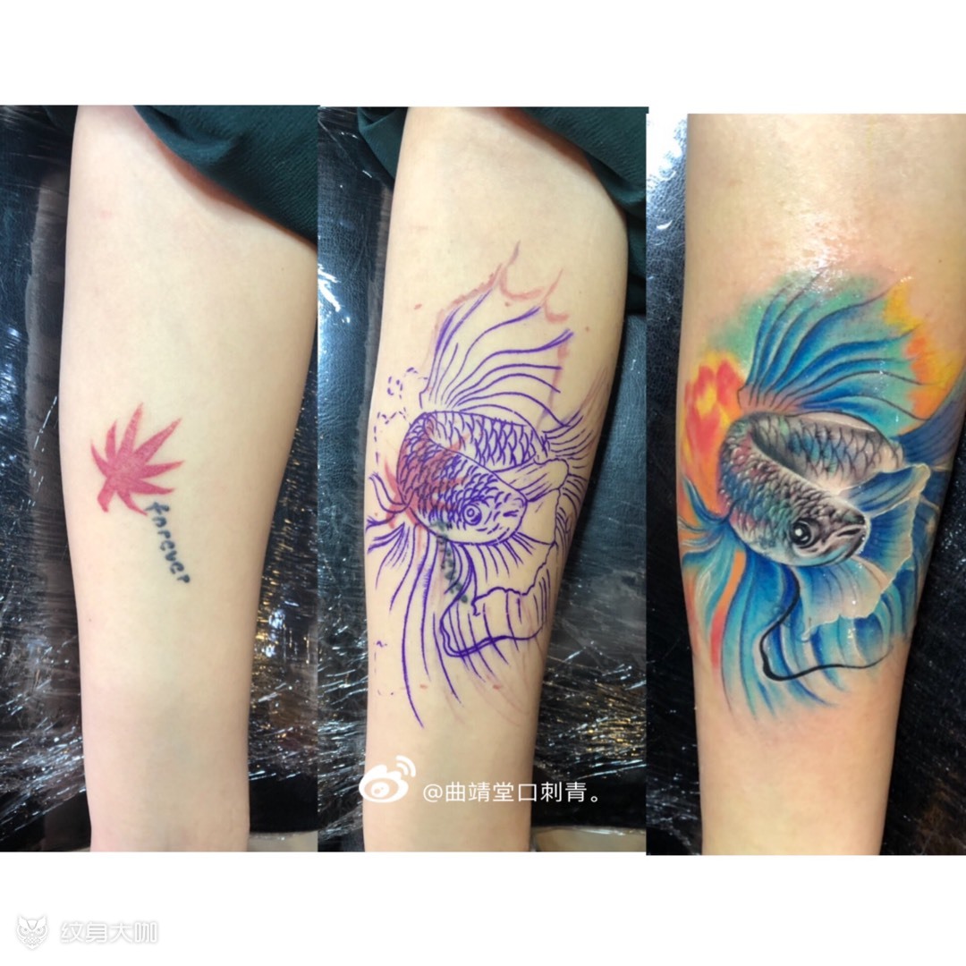斗鱼覆盖_纹身图案手稿图片_高文兵的纹身作品集