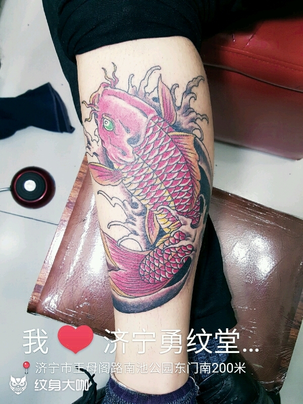 小腿招财鱼_纹身图案手稿图片_王志勇的纹身作品集