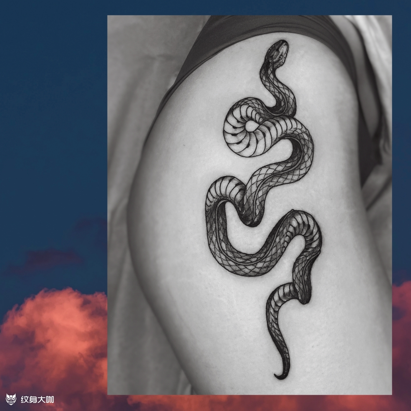 大腿侧蛇纹身_纹身图案手稿图片_浦江888tattoo的纹身作品集