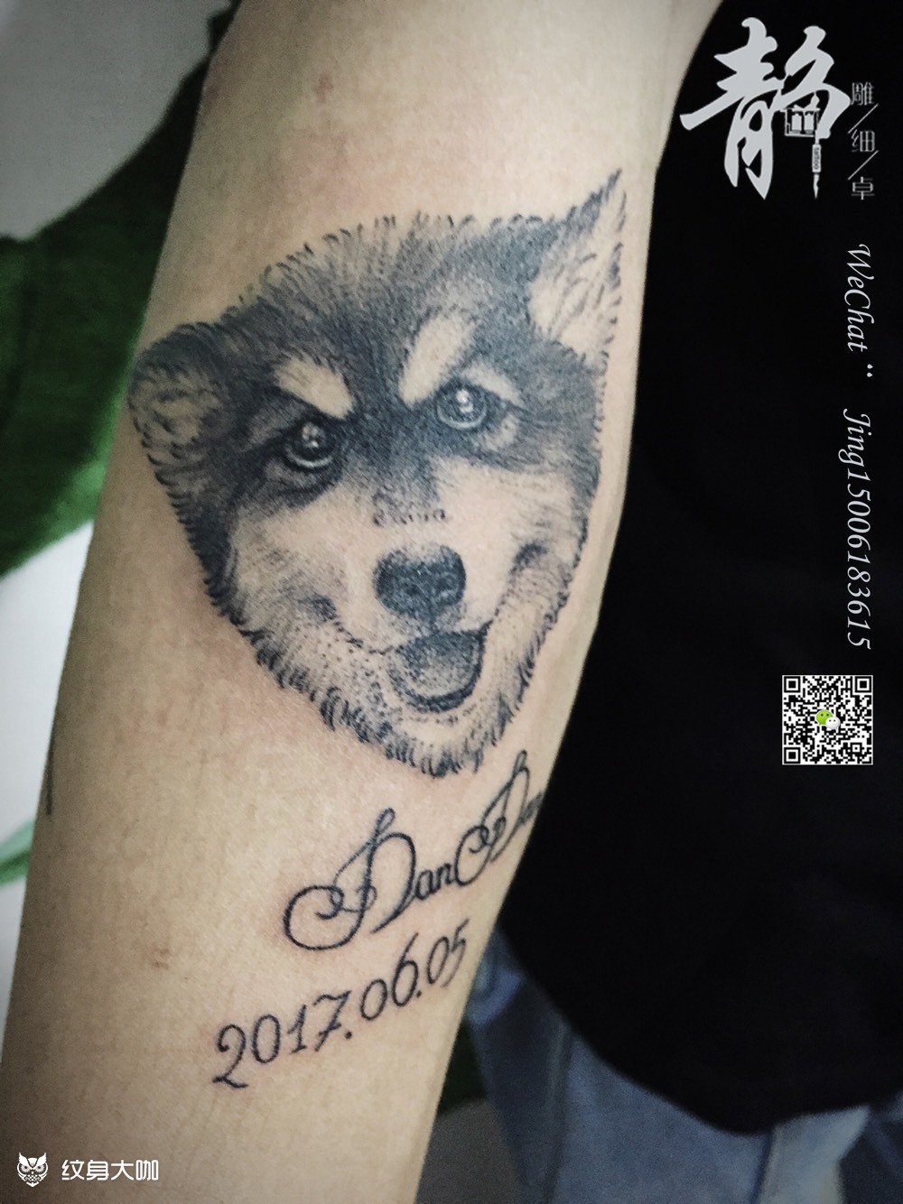 蛋蛋 阿拉斯加_纹身图案手稿图片_郭立佳的纹身作品集