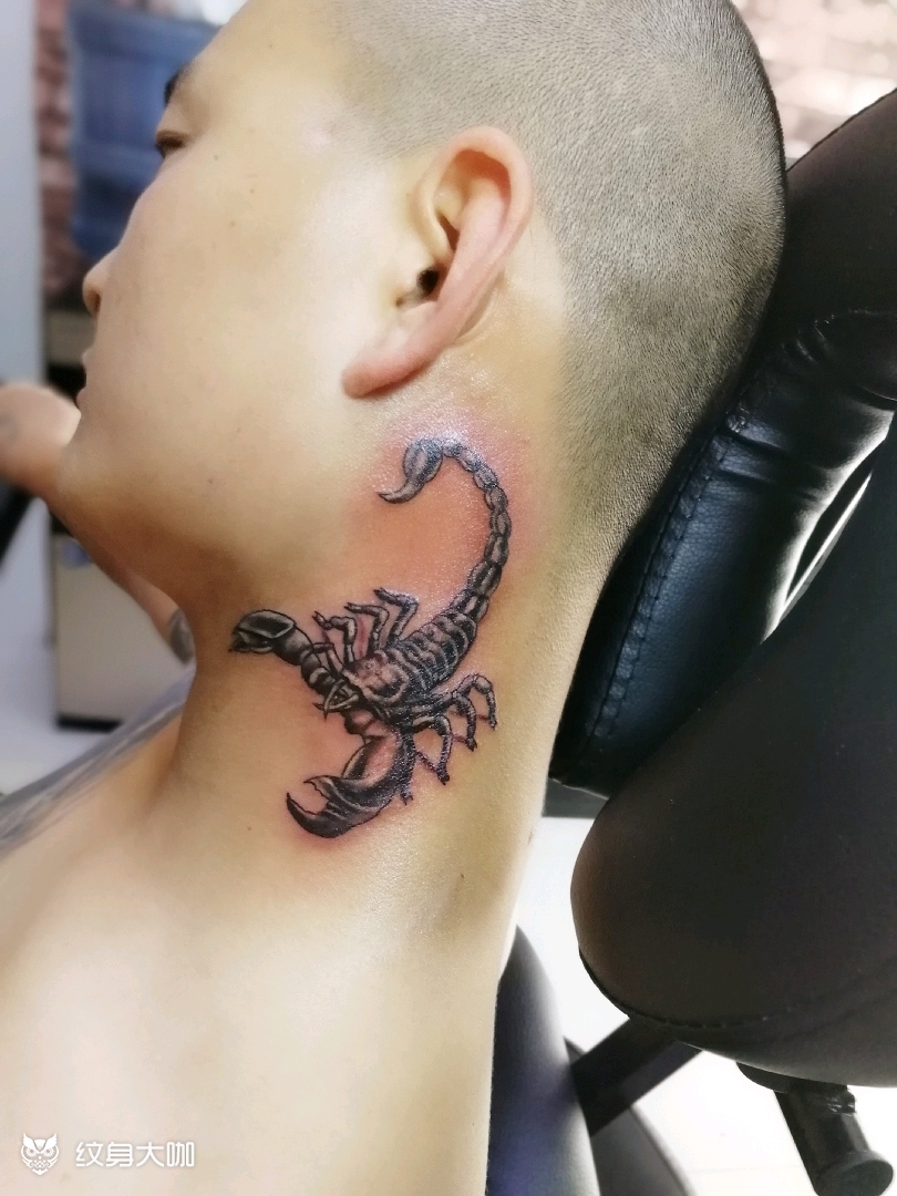 蝎子_纹身图案手稿图片_阿庆的纹身作品集