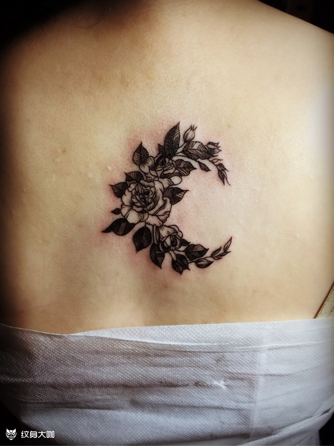 蔷薇花_纹身图案手稿图片_魁的纹身作品集