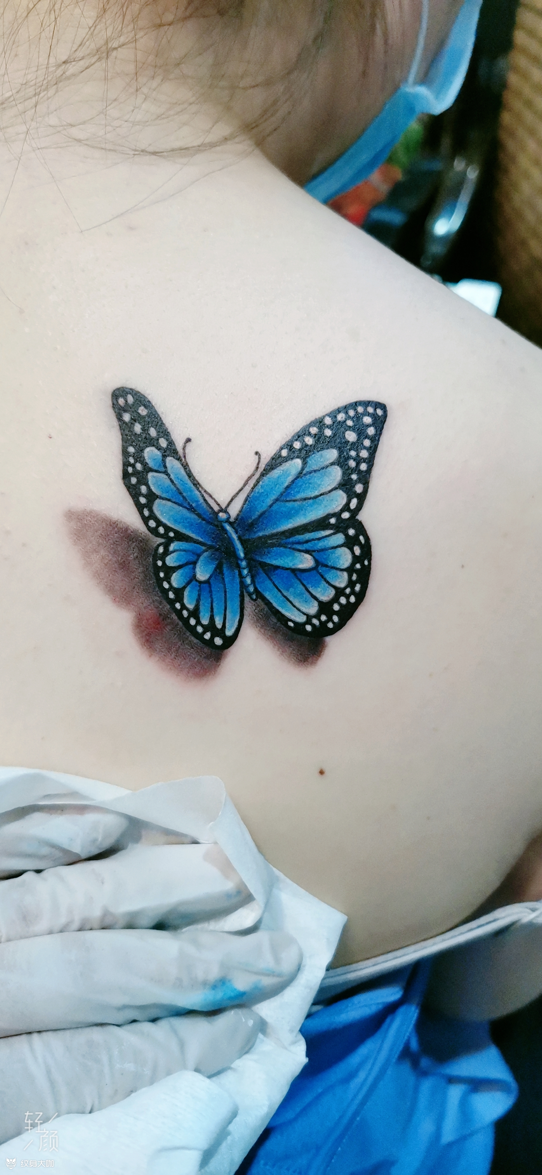 花蝴蝶_纹身图案手稿图片_廊坊魅力—东的纹身作品集