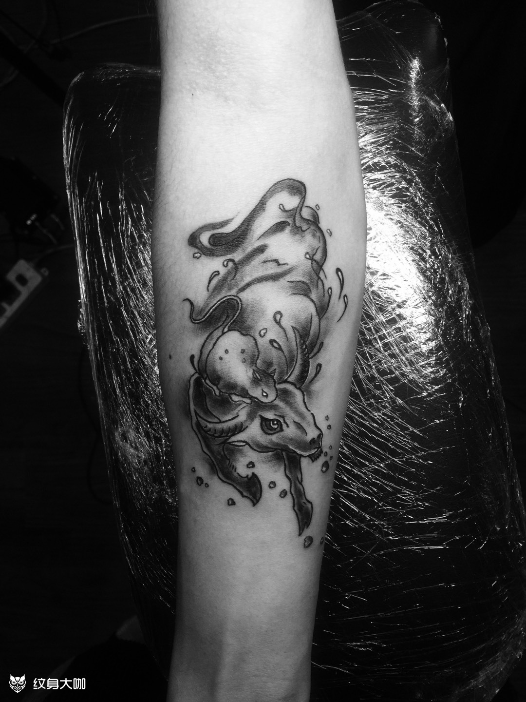 水墨牛_纹身图案手稿图片_勿念的纹身作品集