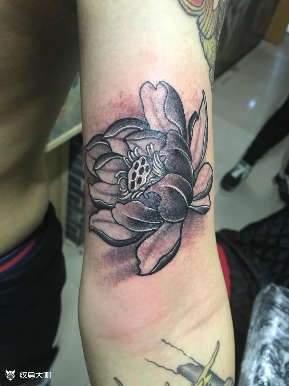 荷花_纹身图案手稿图片_猫叔的纹身作品集