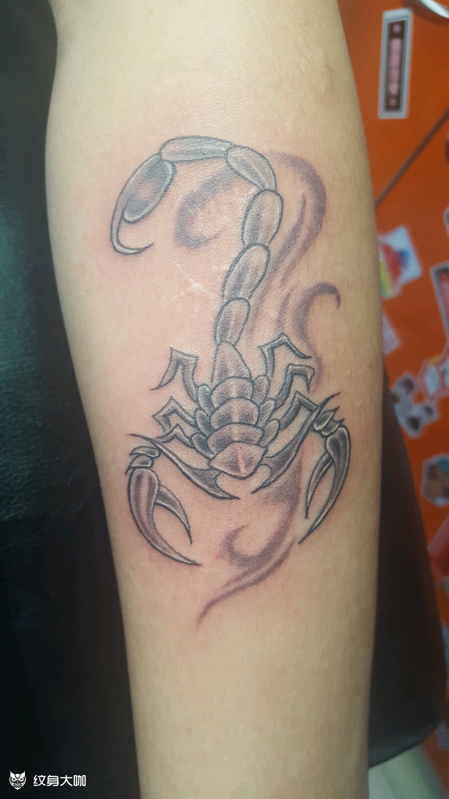 蝎子_纹身图案手稿图片_郑贺元的纹身作品集