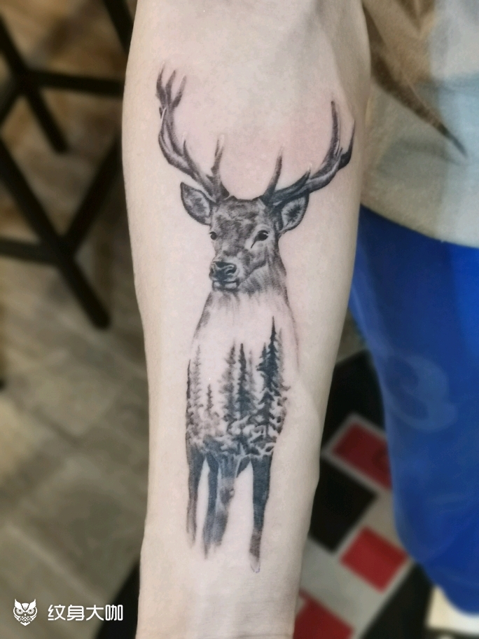 林深有鹿_纹身图案手稿图片_可遇的纹身作品集