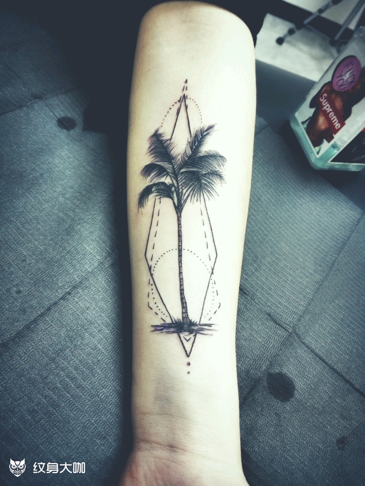 椰子树_纹身图案手稿图片_北斋tattoo的纹身作品集