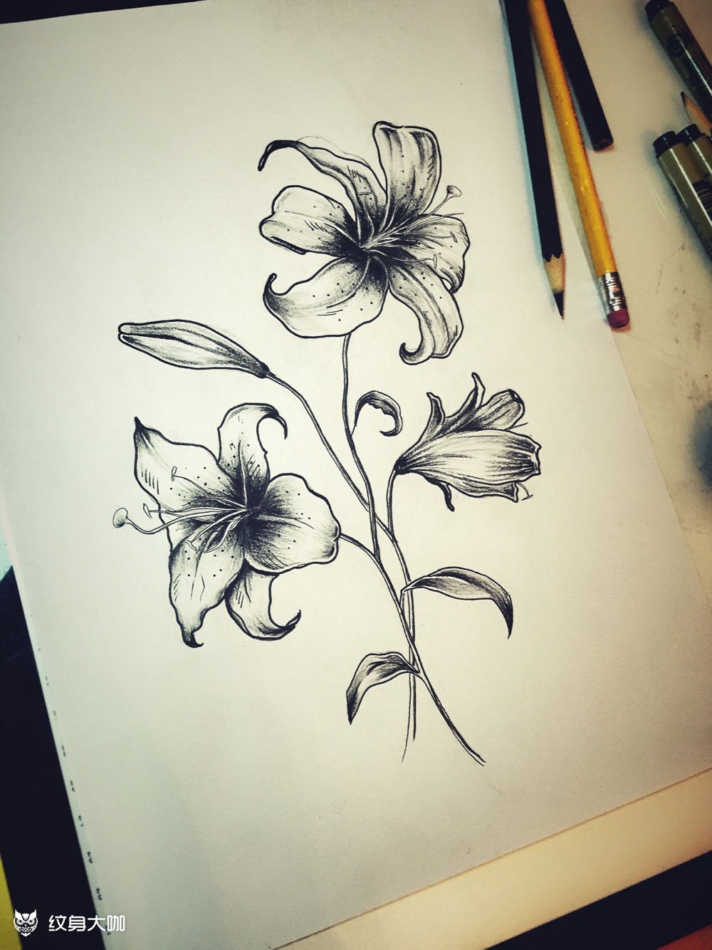 原创手稿 百合花_纹身图案手稿图片_千束刺青-leon的纹身作品集