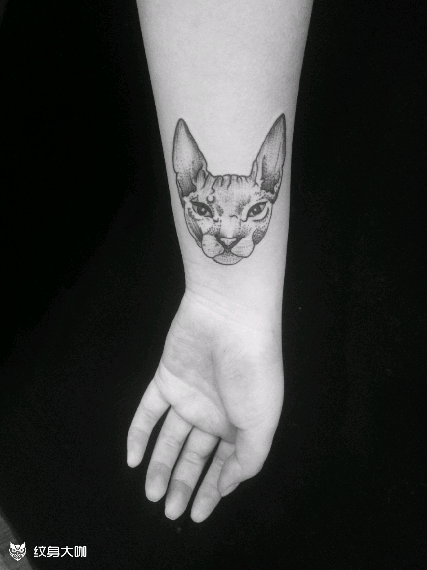 点刺无毛猫_纹身图案手稿图片_随缘的纹身作品集