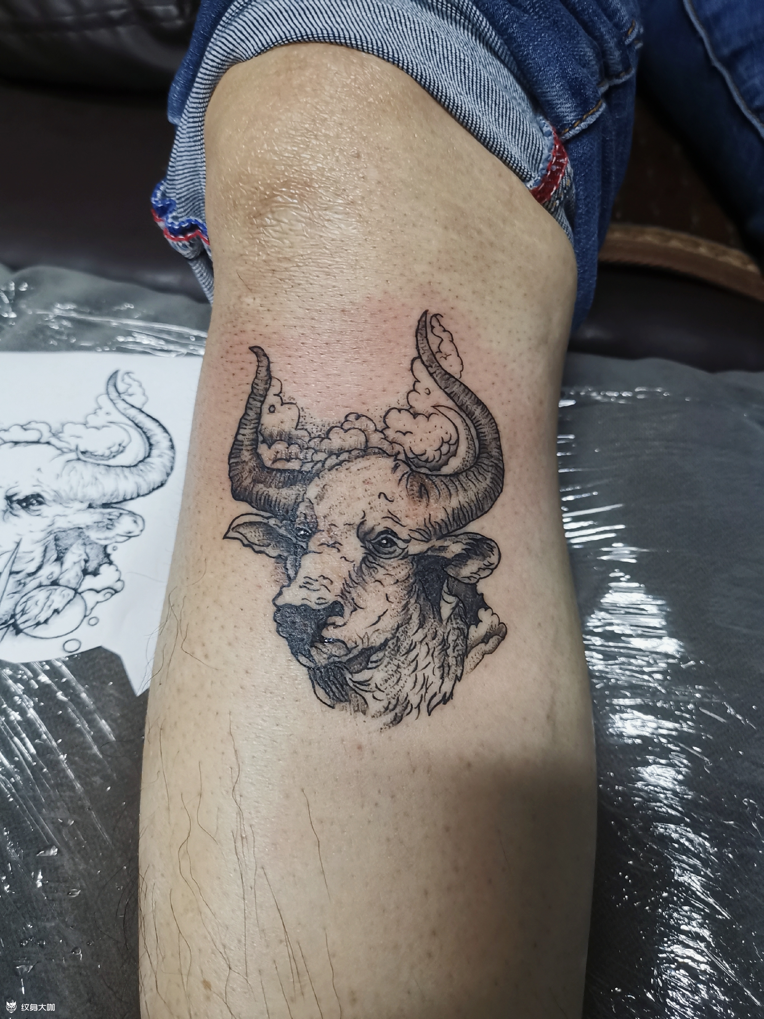 牛头盖疤_纹身吧社区 - 纹身大咖