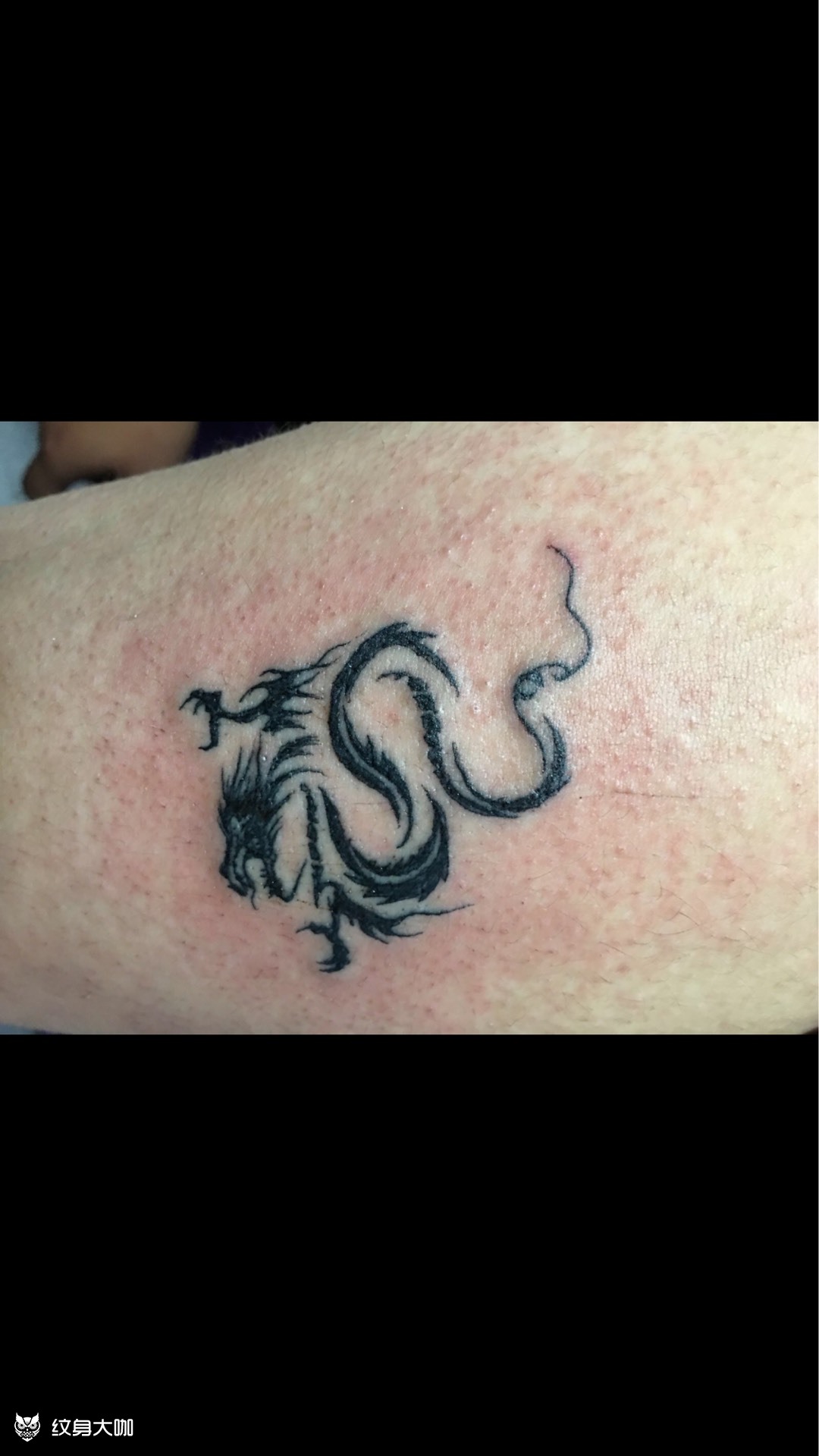 小龙_纹身图案手稿图片_金剪刀纹身的纹身作品集