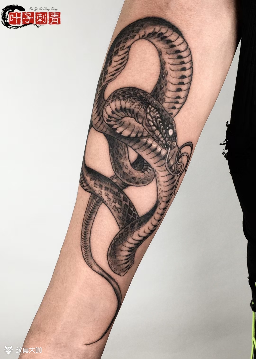 招财蛇_纹身图案手稿图片_叶子的纹身作品集