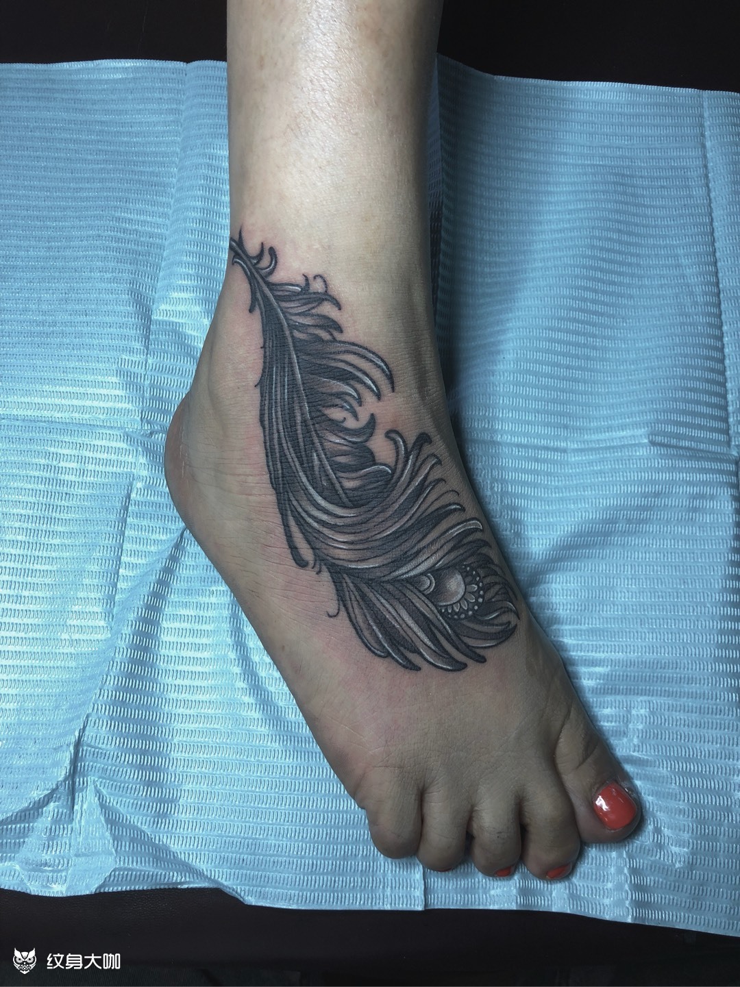脚背羽毛_纹身图案手稿图片_king的纹身作品集