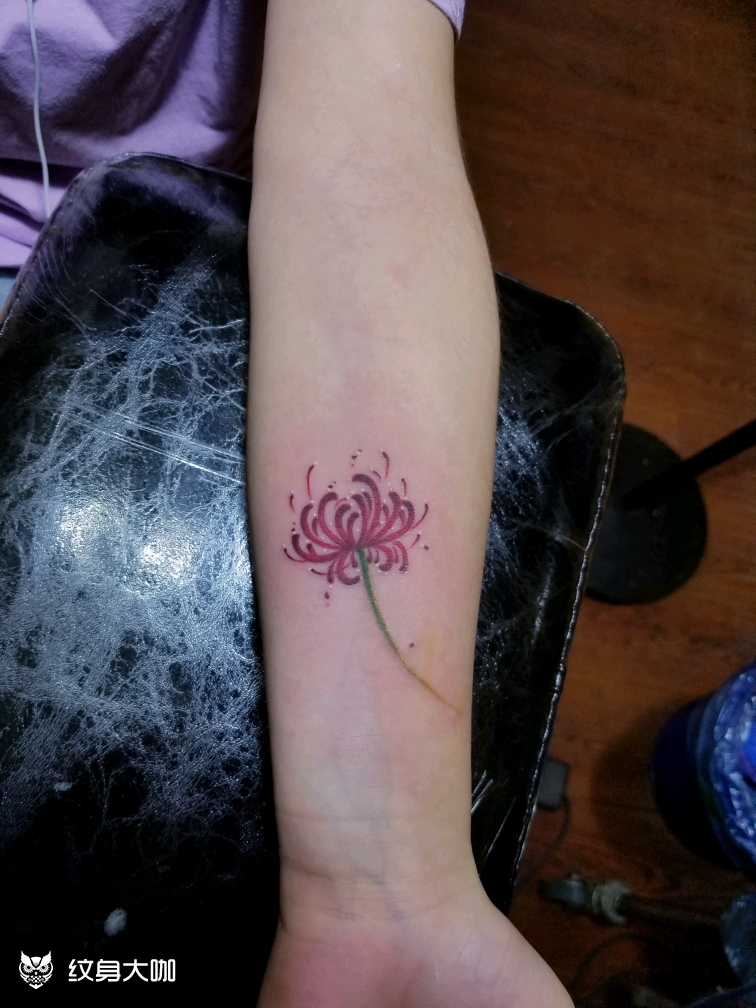彼岸花_纹身图案手稿图片_小逗的纹身作品集