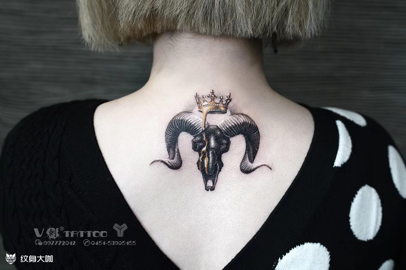 羊头_纹身图案手稿图片_壹铭的纹身作品集