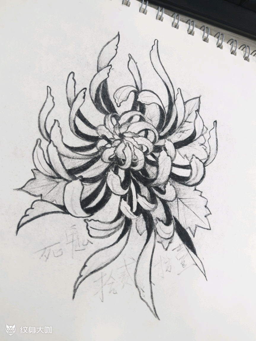 菊花练习#_纹身图案手稿图片_死鬼的纹身作品集