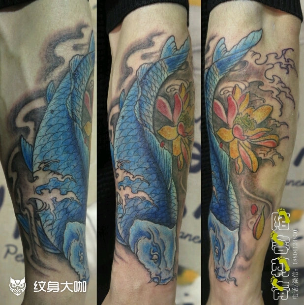 蓝鲤鱼_纹身图案手稿图片_大陌的纹身作品集